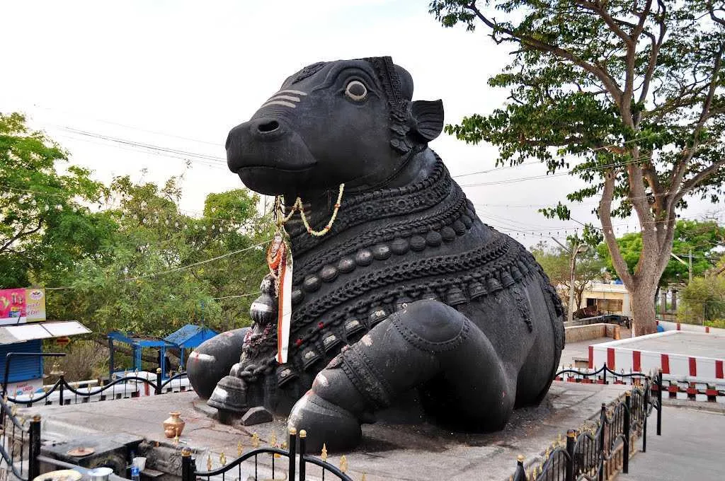 The-Nandhi-Temple-2